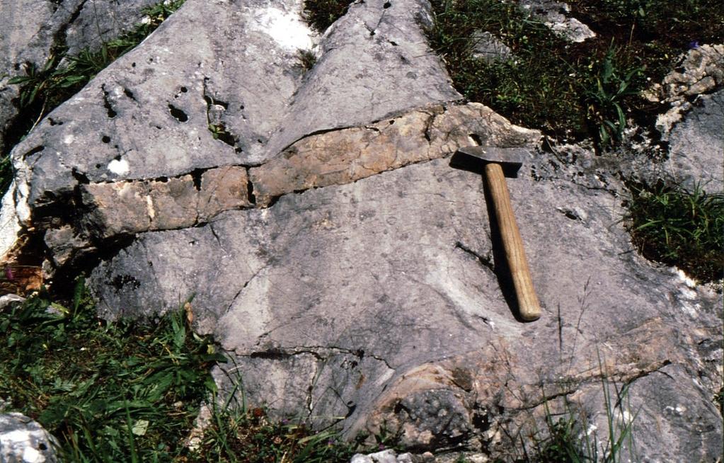 3 Die Nördlichen Kalkalpen Abb. 3.3: Rötlicher Schreieralm-Kalk des oberen Anis füllt eine Spalte in grauem Steinalmkalk des mittleren Anis.