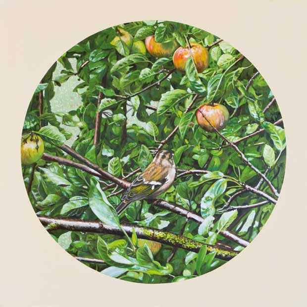 Buchfink im Apfelbaum 2014 Öl auf Holz (Kirsche) 40 x 40 x 5,5 cm