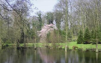 Ein Besuch im Rombergpark lohnt immer In den Jahren 1820 1822 wurde im Auftrag der Adelsfamilie von Romberg auf deren Ländereien im heutigen Dortmunder Süden ein Landschaftsgarten nach englischem