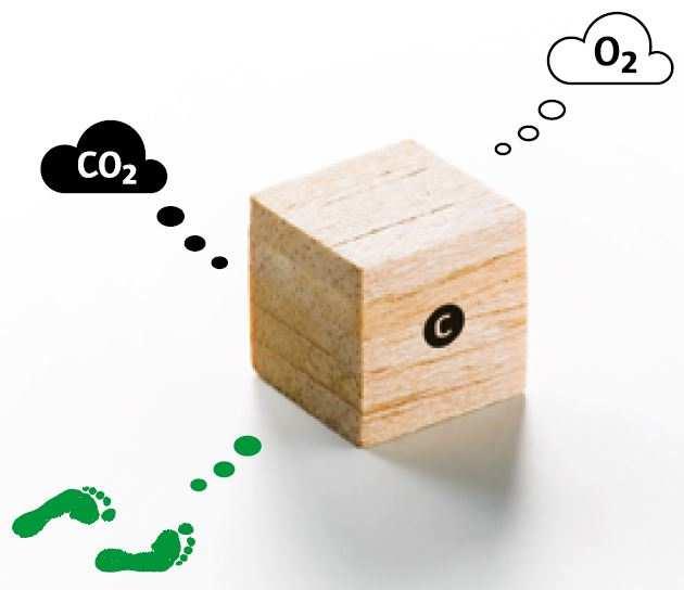 Die C-auberformel 1 m³ (atro) Holz enthält: 250 kg Kohlenstoff 215 kg Sauerstoff 30 kg Wasserstoff 5 kg diverse Elemente Verbrennung / Verrottung: aus 0,9 kg