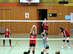Volleyball Weibliche Jugend U15 Hessenmeisterschaftsqualifikation Großkampftag herrschte am Samstag, den 4.3.2017 in der Großsporthalle in Rothenbergen.