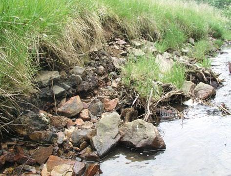 Vorsorgender Bodenschutz bei Baumaßnahmen zur Verbesserung der Gewässerstruktur und der Durchgängigkeit tungen der Prüfwerte der Bundes-Bodenschutzverordnung für den Transferpfad Boden-Grundwasser