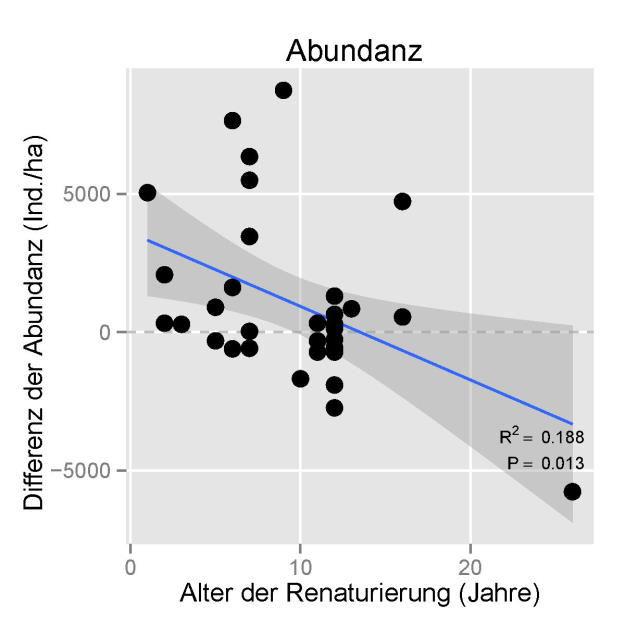 Ein neuer Blick auf