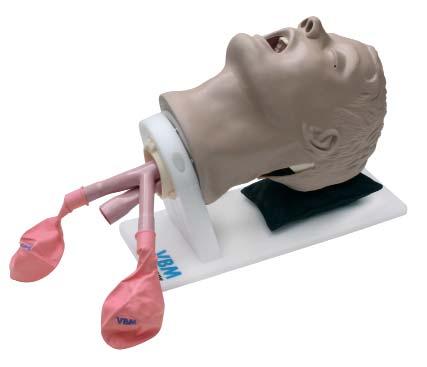 ATEMWEGSSIMULATOR BOB ET-Intubation Supraglottische Atemwegshilfsmittel Maskenbeatmung BOB komplett mit rutschfester Aufnahme und Tragetasche REF 30-30-000 ATEMWEGSSIMULATOR BILL Gelenk