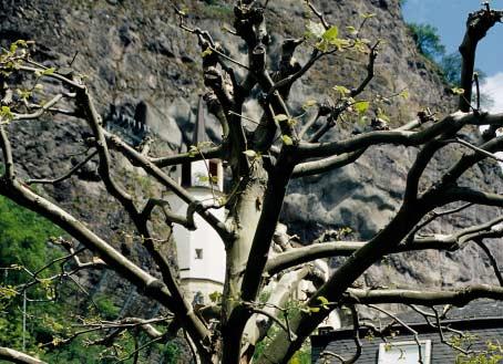 Image, Stadtidentität und Kommunikation Idar-Oberstein genießt weltweit hohen Bekanntheitsgrad durch seine über 500 Jahre alte Edelstein- und