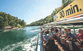 Rhein hinab. Sie können auch von Stein am Rhein nach Schaffhausen fahren oder an mehrtägigen Touren auf dem Bodensee teilnehmen. Ideal für den Betriebsausflug, die Schulreise oder die ganze Familie.