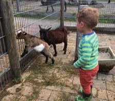 KindergArten und Schule Gmoa, L a nd & Leit Kindertagespflege Chiemgau im Streichelzoo Im vergangenen Jahr wurde in der Kindertagespflege auf das Kennenlernen Die Tierwelt hautnah erleben bei der