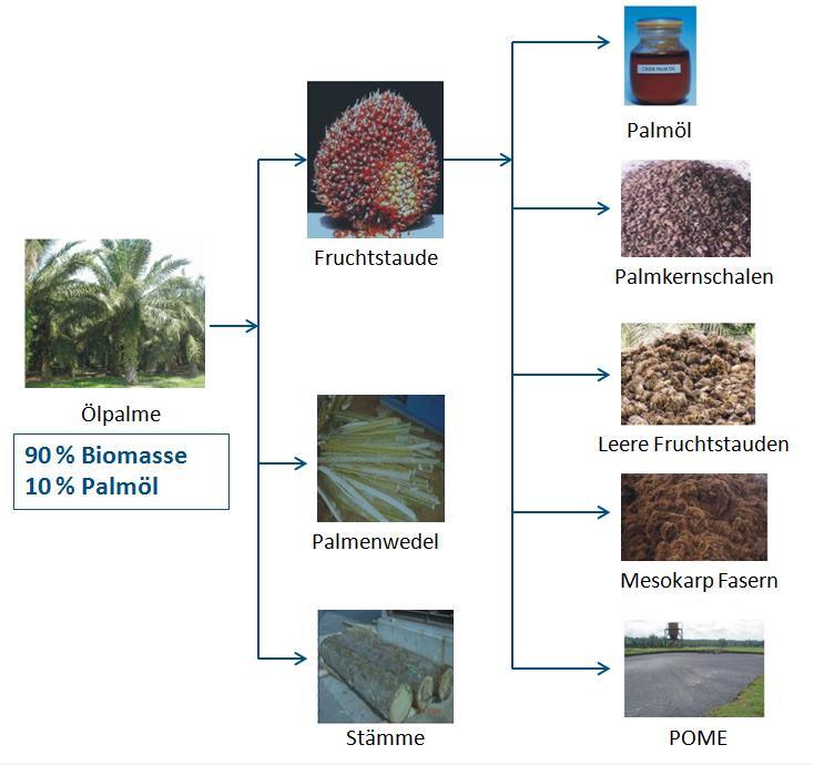 Biomasse aus Palmölindustrie Art der Biomasse Gesamt (Mio.
