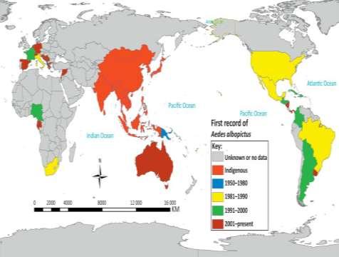 J. Gathany, CDC, USA Invasive Arten: Aedes albopictus weltweite Verbreitung 2012