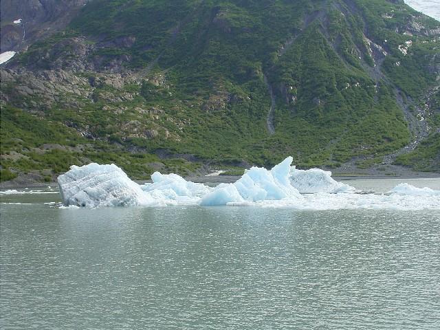wir nach Portage. Dort endet der Portage Gletscher im gleichnamigen See.
