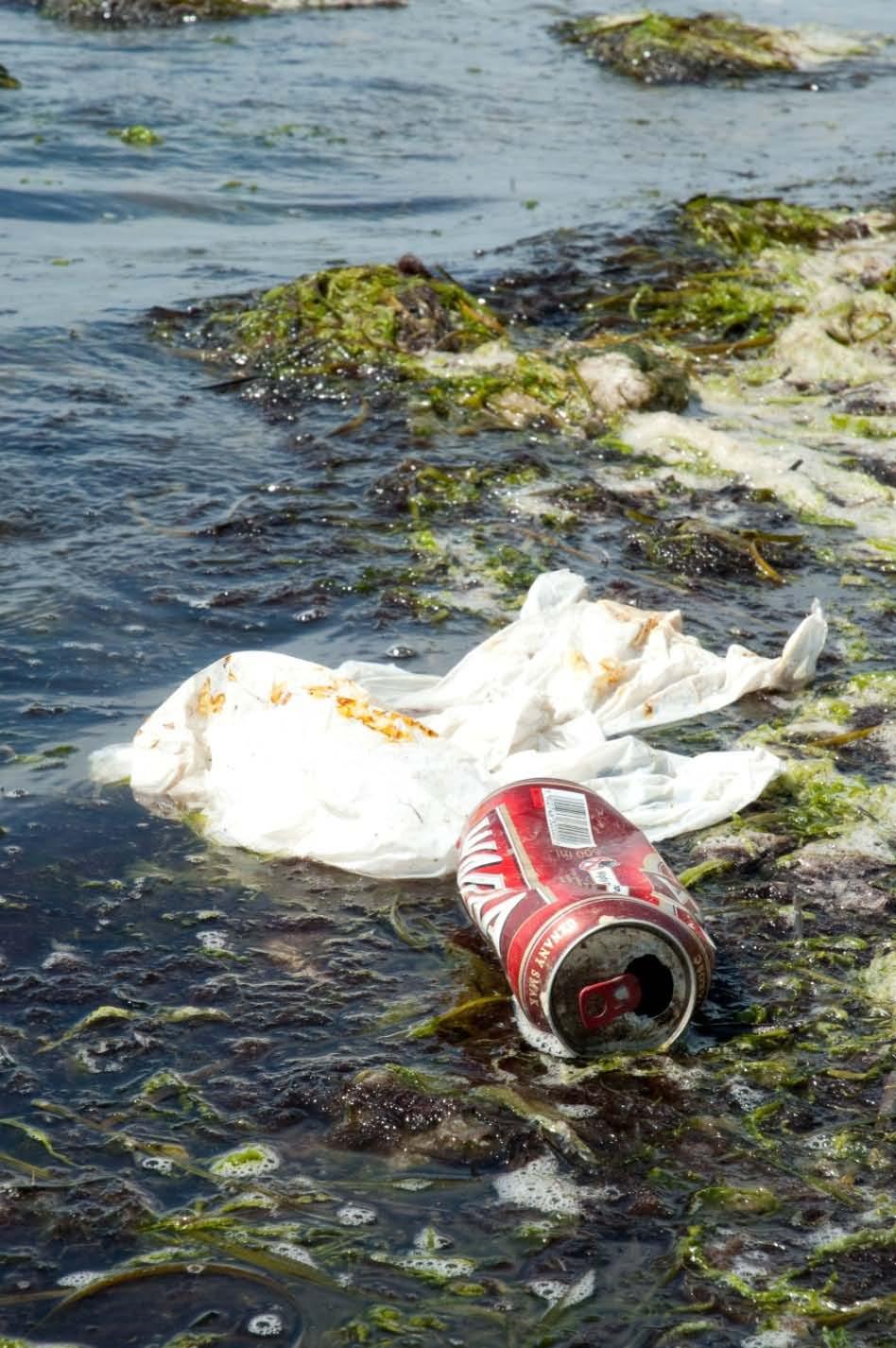 Gliederung Zahlen und Fakten Herkunft der Abfälle Ökologische Folgen Mikroplastik Plastik in Flüssen