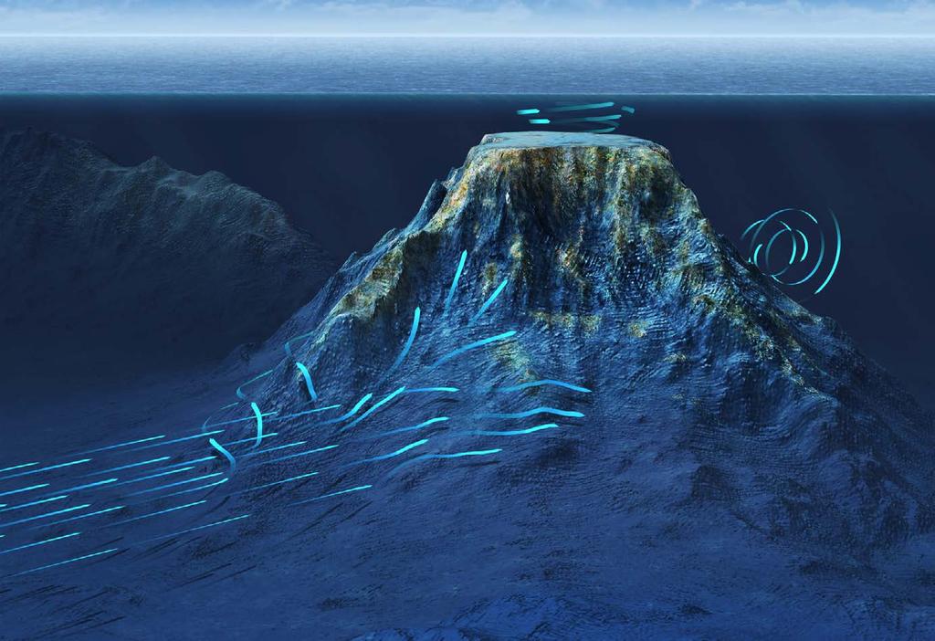 Animation Seamount,