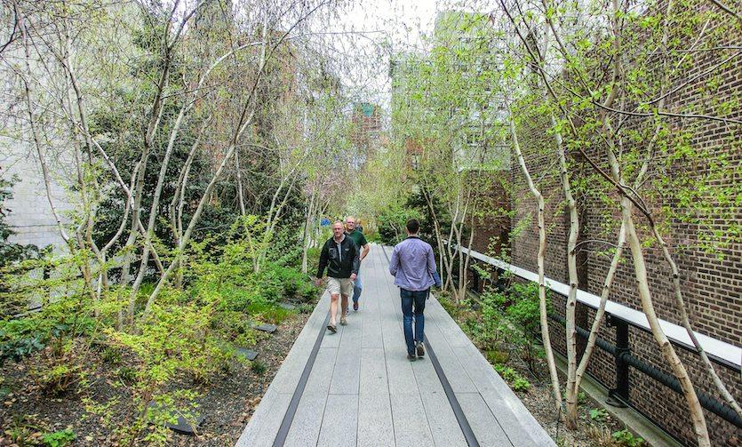 Die High Line Park ist eine Art Park auf Stelzen. Eine alte Hochbahn-Trasse wurde 2009 zu einem Erholungspark umgebaut. (Fotos: Jörg Pasemann) Aber es gibt auch wunderschöne Stellen in New York.