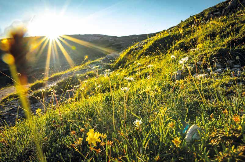 Die alenergy invest AG ist führender Anbieter von Solartechnologie im Zürcher Raum.