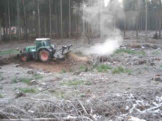 Der Forsttraktor schiebt dazu den Forstmulcher rückwärts in den Bestand. Das können z.b. Umwandlungsbestände oder Harvesterflächen sein.