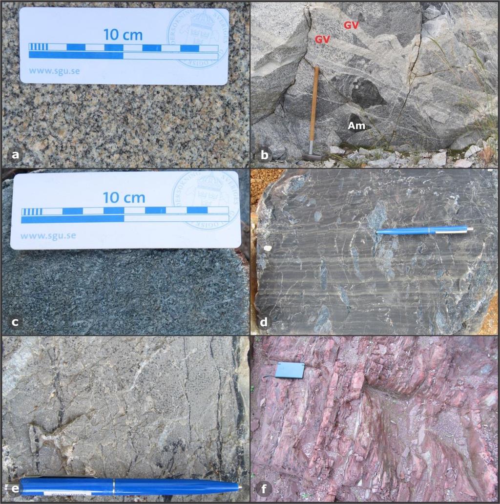Fig. 1: a. Medium grained granular granite granodiorites of the TTG suites. b. Migmatites with amphibolitic fragments (Am).