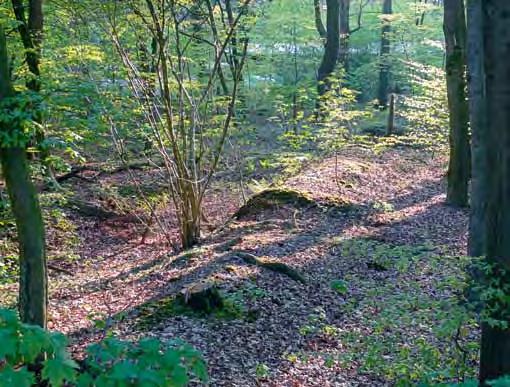 Kulturlandschaftsräume in der Region Düsseldorf historischer Wall bei Frasselt Dietrich Cerff Der Niederrhein ist in der Römischen Zeit gekennzeichnet durch seine Lage am Niedergermanischen Limes und