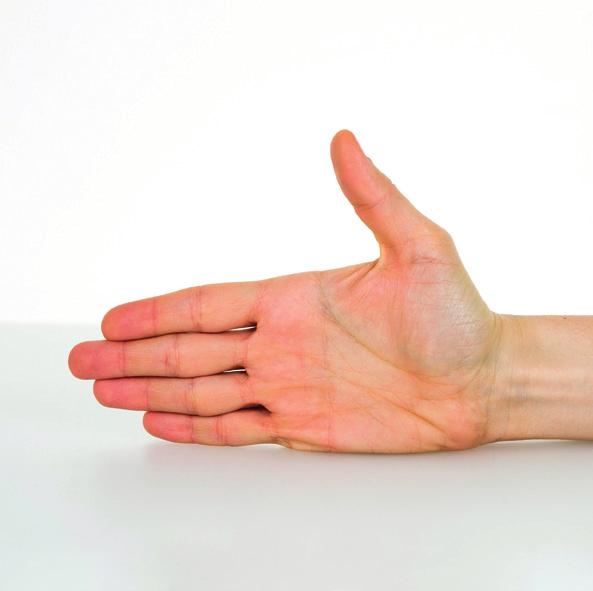 Kralle / kleine Faust Stellen Sie die Hand auf die Handkante. Formen Sie aus dieser Position heraus die Kralle / kleine Faust.