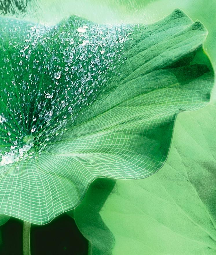 -Produkten erstmals das Prinzip des Lotusblattes aus der Biologie in die Technik übersetzt werden: Schmutz perlt mit dem
