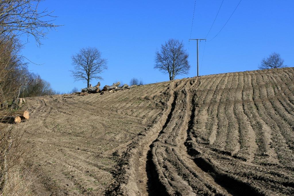 Bodenschädigung durch Erosion Maisanbau erhöht die Bodenabträge durch Wassererssion Dies ist