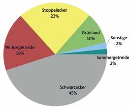 48 Charadrius 50, Heft 1, 2014 größten Anteil der besiedelten Nutzungstypen ein. Maisstoppeln wurden mit einem Anteil von ca. 53 % gegenüber anderen Stoppeläckern bevorzugt.
