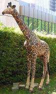 8 Figur- Giraffe Format ca. 380cm Höhe Pos.