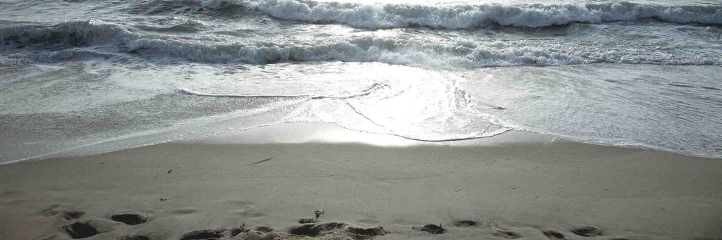 Meerwasser pur : Erleben Sie Sylt