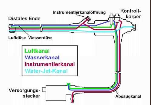 Vorreinigung unmittelbar im Anschluss an die Untersuchung