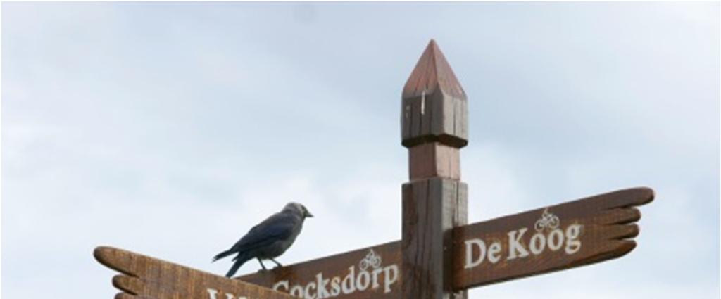 Naturschutzgebiet vor wenigen Jahren zum ersten Dark Sky Park der Niederlande