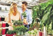 Garten & Frühling Die LECHUZA-Stores in Zirndorf und Dietenhofen Anzeige Jetzt geht s los Salate & Co für Ihren eigenen Anbau.