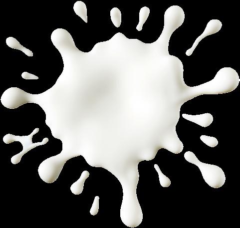 Bausteine zu Ihrem Erfolg! TIPP 2 auf 1 Schlag DAS STARKE DUO Ketose- Prophylaxe Mit steigender Milchleistung der Kühe wird auch die Ketose zunehmend wichtiger.