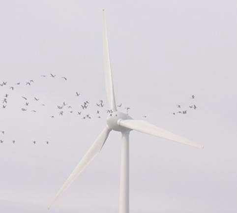 Einweihung Windpark Wybelsumer