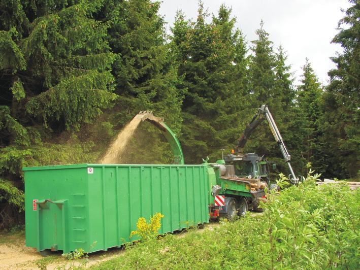 Hackgut - Häckseln von Strauch- und Astschnitt, Kronenholz und Stammholz bis zu einem