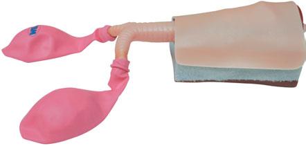 Transtrachealen Jet-Ventilation, Maskenbeatmung sowie der Beatmung mit Larynx-Maske,