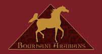 Bourhani Arabians PROUDLY PRESENTS Bourhani