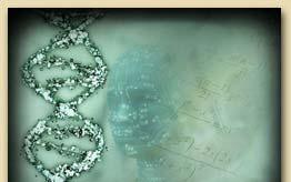 Genetik An dieser Stelle erfahren wir, dass die Ancient Arrow Anlage eine symbolische Darstellung einer einzelnen DNS-Spirale ist.