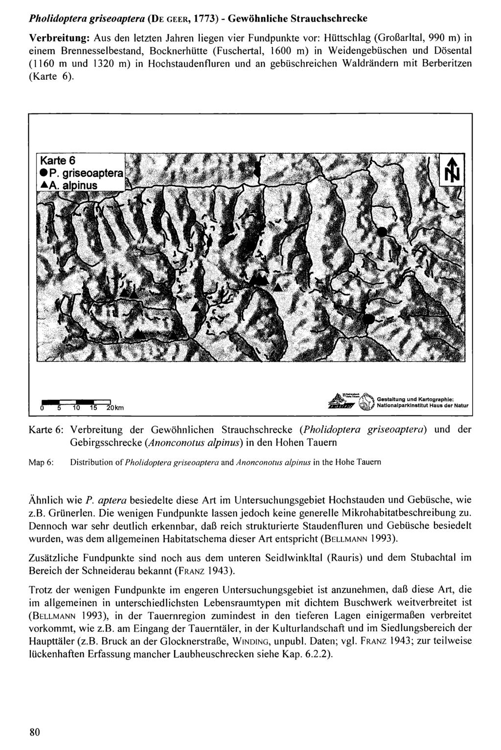 Pholidoptera griseoaptera (D e g Nationalpark e e r, 1773) Hohe Tauern, - Gewöhnliche download unter www.biologiezentrum.