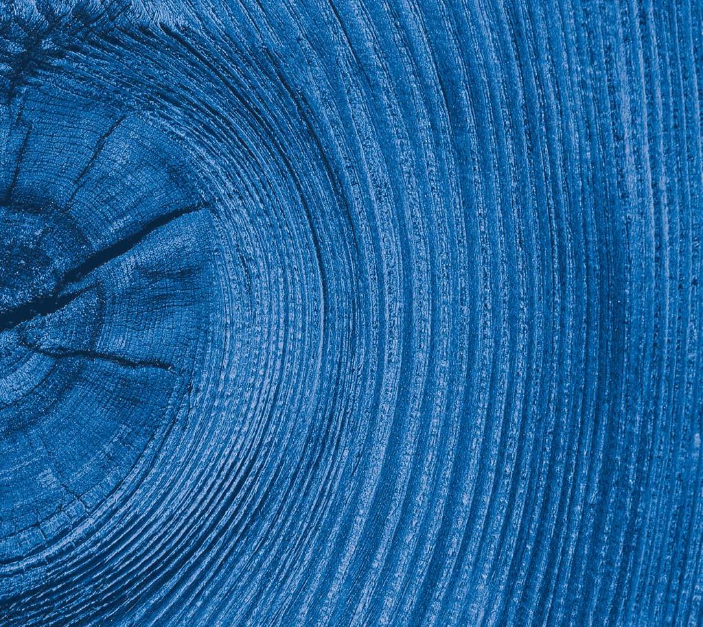 Die schnellen Trockenzeiten in Verbindung mit besonderer Umweltfreundlichkeit machen die wässrigen DANSKE Produkte seit geraumer Zeit zu bewährten Holzbeschichtungen für die Fertighausindustrie aber