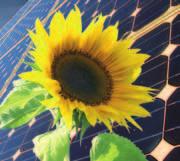 Dachbegrünung mit integrierter Energiegewinnung Die Sonne ist Lebensgrundlage für Pflanzen und sie ist unerschöpflicher Energielieferant für den Menschen.
