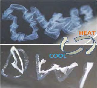 Responsive systems composed of PNIPAAm are able to alter their morphology when the temperature is changed, due to the polymer s lower critical solution temperature (LCST) in water, rendering it