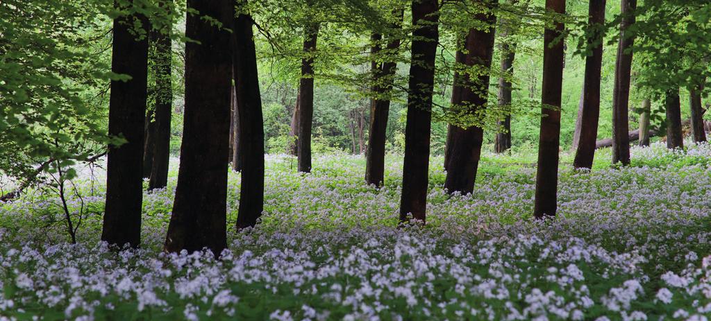 Philosophie Gesundheit erhalten Naturnahes Aufwachsen fördern Alle Menschen, die hier wohnen, sollen sich wohlfühlen können.