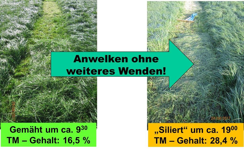 Abbildung 9: Zuckerverlauf Aufwuchsmonitoring, Standort Straubing 3. Hätte man am 24.04. 2017 silieren können? Der ein oder andere hatte geplant die angekündigten 2 schönen Tage um den 24.04. für den 1.