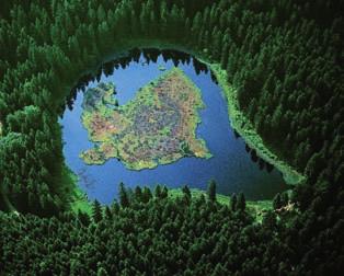 Der Privatwald im Landkreis gehört 7.100 Waldbesitzern mit einer durchschnittlichen Besitzgröße von knapp 2,5 Hektar. Geologische Besonderheit sind die Kare als dunkle Augen des Nordschwarzwaldes.
