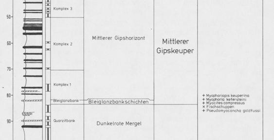 Nur bei Leonberg, Untertürkheim, Neustadt, Korntal und Asperg ist der Gips in größerer Ausdehnung an der Oberfläche erhalten geblieben.