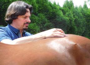 Ihr Pferd tut alles fur Sie. Geben Sie ihm etwas zuruck! Im Polo werden die Pferde physisch und psychisch stark gefordert.