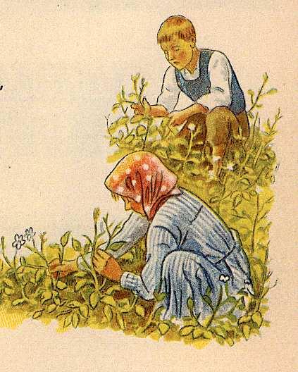 Die Kartoffelkäferabwehr bis 1945 1935 Gründung