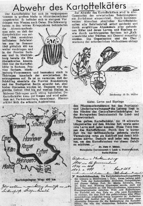 Rostocker Anzeiger 1945 Handschriftliche Notiz von Dr.