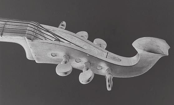 Der Arpeggione des Musikinstrumenten-Museums tung und natürlich die gewölbte Decke mit der entsprechenden Steghöhe übernommen.
