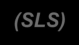 Selective Laser Sintering (SLS)