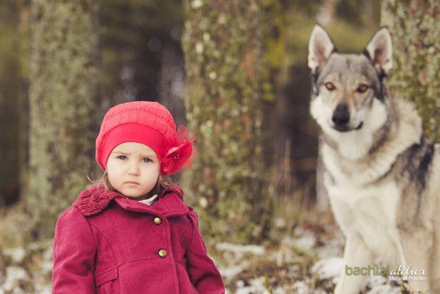 Rotkäppchen fürchtete sich vor ihm, denn sie hatte schon viele schlimme Geschichten über Wölfe gehört. "Guten Tag, Rotkäppchen!" sprach er. "Schönen Dank, Wolf!" sagte sie zögerlich.